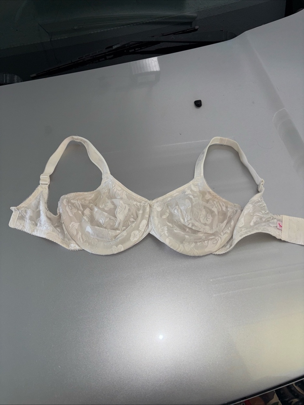 Wacoal Classic Lace Underwire Bra in Cream - Women Intimates & Sleepwear